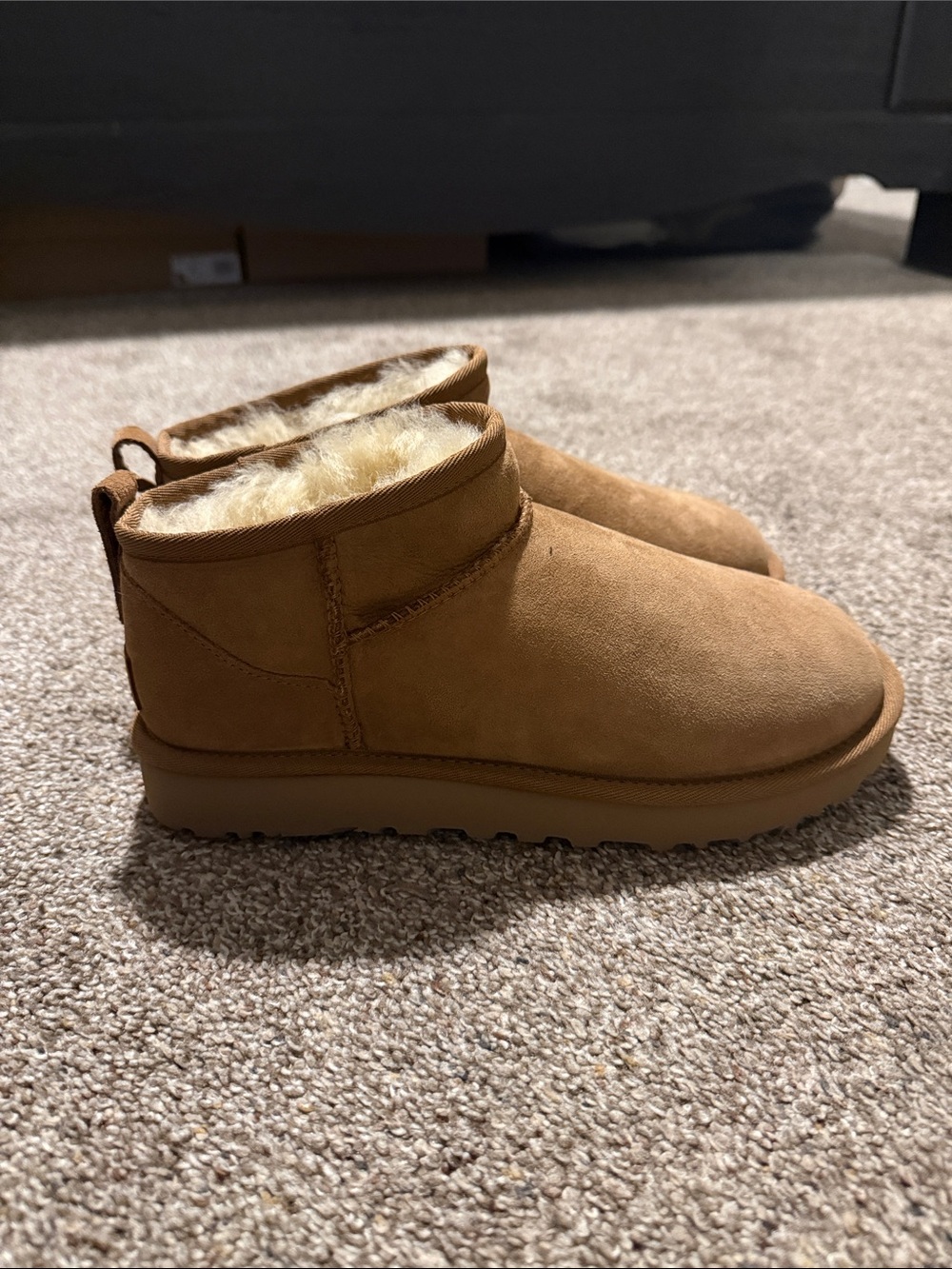 Ugg Mini Boots